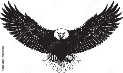 Majestic Eagle Silhouette Vector – Detailed Flying Eagle Illustration
