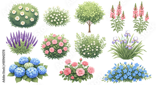 Watercolor botanical collection featuring garden plants: vibrant roses, aromatic lavender, blue hydrangeas, elegant irises, and diverse flowering bushes.