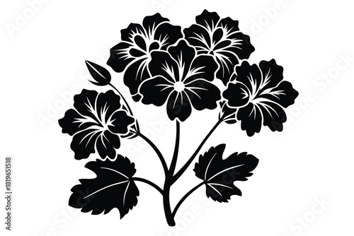 Black geranium blossoms elegantly extend from stems with leaves in this monochrome vector