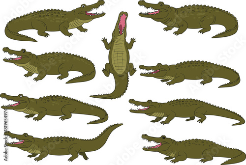 Crocodile cartoon vector set, green reptile icons, various poses and expressions, flat animal illustration, side view, wildlife character