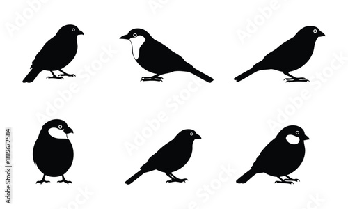 Six stylized black bird silhouettes collection, various small songbirds in different poses
