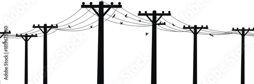 Power line silhouettes with birds on electrical wires utility poles energy transmission infrastructure vector illustration outdoor urban minimal technology background