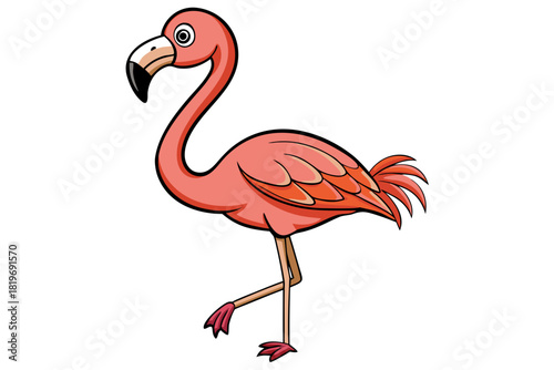 Flamingo bird cartoon vector art illustration