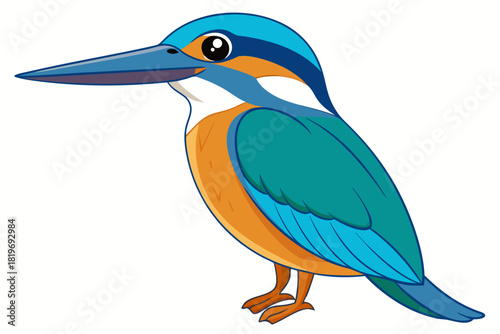 kingfisher bird vector art white background