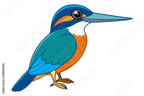 kingfisher bird vector art white background