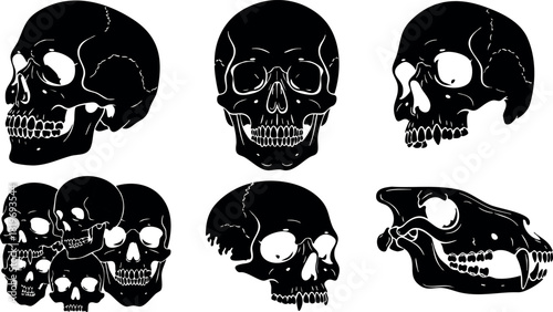 Human skull and animal skull black silhouette vector collection detailed side front and group views