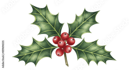 Watercolor Handdrawn Holly Leaves and Red Berries Christmas Decoration on a Transparent Background PNG Image PNG File
