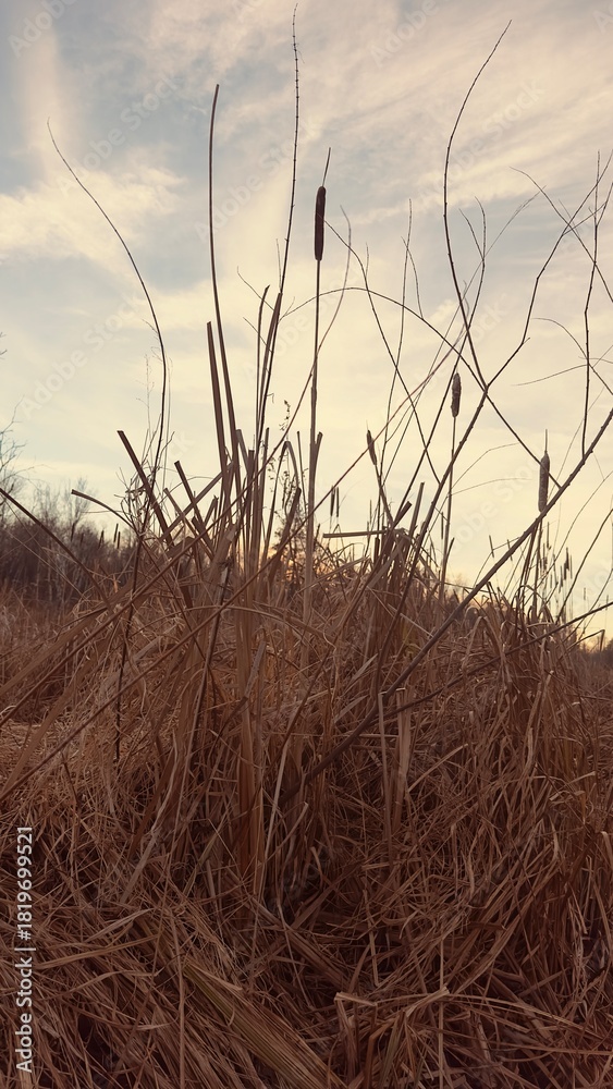 Obraz premium Golden Hour Up North Minnesota