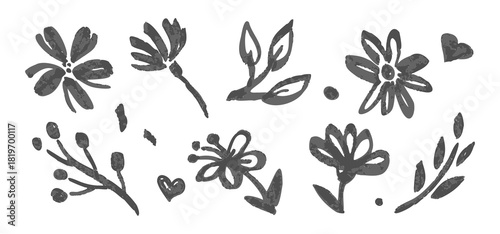 Chamomile childish floral drawings, Botanical elements