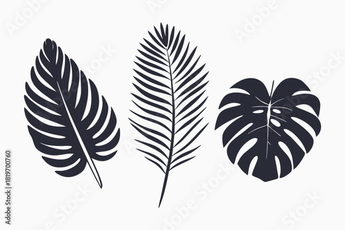 Three minimalist botanical leaf silhouettes create a simple yet elegant natural plant arrangement