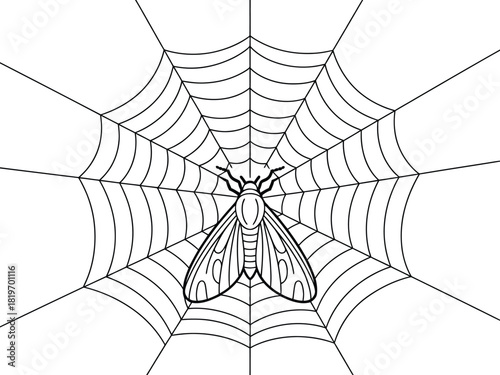 Line drawing of moth caught in a spiderweb on white background
