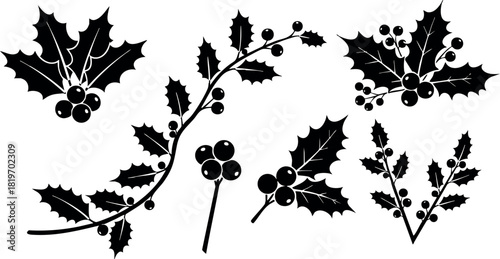 Holly branches with berries black silhouette vector illustration winter decoration natural leaves plants isolated design
