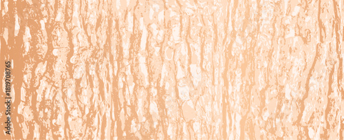 Tree bark background
