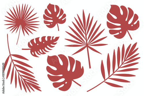 Maroon tropical leaf set displays various palm and monstera forms against a plain white background