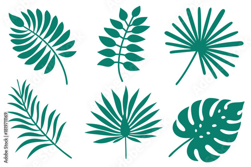 Six green tropical leaves of different species create a natural botanical arrangement