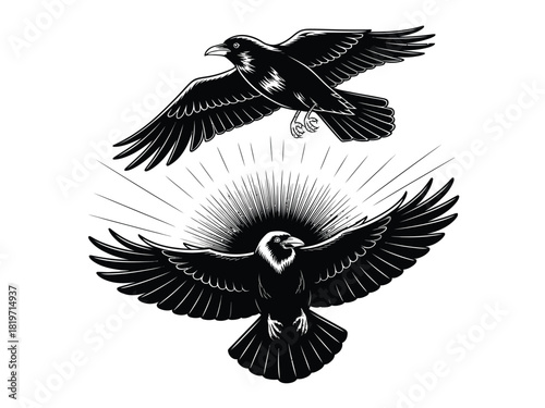 Two black ravens in flight with sunburst illustration vector