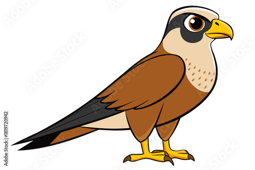 Falcon bird cartoon art vector illustration
