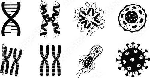 DNA chromosome virus bacteria cell genetics microbiology vector illustration collection set