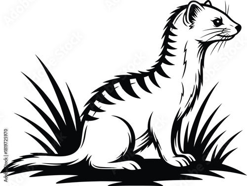 Ferret animal illustration vector drawing black and white outline art eps silhouette