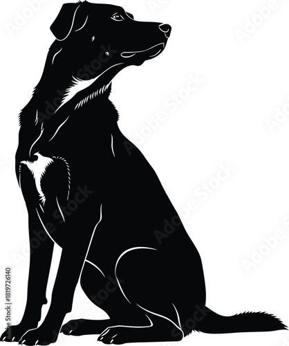 Black labrador retriever sitting illustration vector dog pet animal art eps silhouette