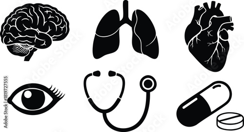 Medical icons brain lungs heart eye stethoscope pills vector illustration simple design