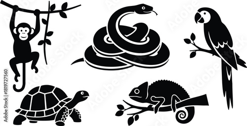 Jungle animals vector illustration with monkey snake parrot turtle chameleon on branches and ground black silhouettes