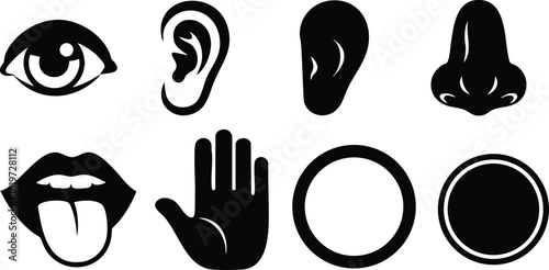 Black silhouette icons of human five senses eye ear nose mouth hand vector illustration