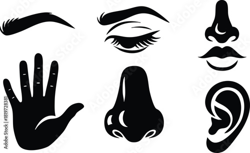 Human senses icons vector set eye hand nose mouth and ear illustrations simple design