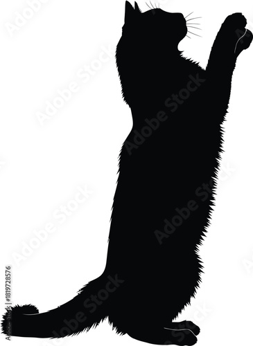 Black cat silhouette reaching up vector illustration pet animal art eps