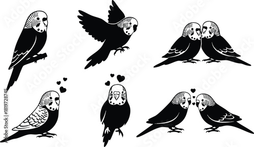 Budgerigar bird silhouette set flying couple love hearts vector illustration