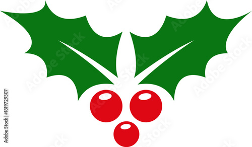 Holly berry leaves. Chritmas decorations wirh holly berries. Greeting card.Vector