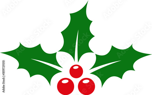 Holly berry leaves. Christmas decorations with holly berries. Greeting card.Vector