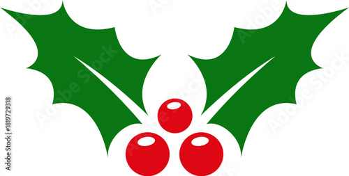 Holly berry leaves. Chritmas decorations wirh holly berries. Greeting card.Vector