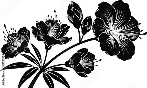 Woman silhouette with bird vector illustration beauty and freedom art eps