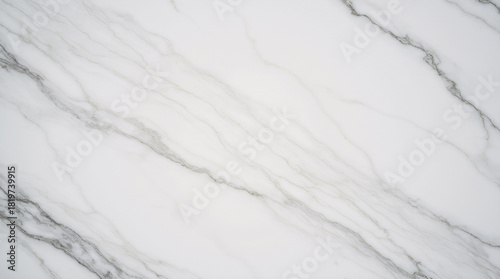 Straight-On Carrara Marble Texture for Luxury Product Mockups and High-End Interior Design | White Background with Gray Veining
