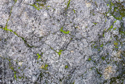 Rugged Granite Rock Surface With Green Moss Veins and Cracks in Nature