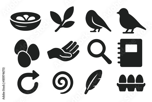 Nesting Icons Collection. Solid style icons of nesting and bird ecology: nest, branch, leaves, bird silhouette, eggs, human hand,