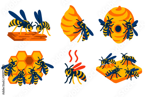 Wasp Nest Building. Isometric vector illustration set Social wasp nest construction: wasps chewing wood fibers, forming papery