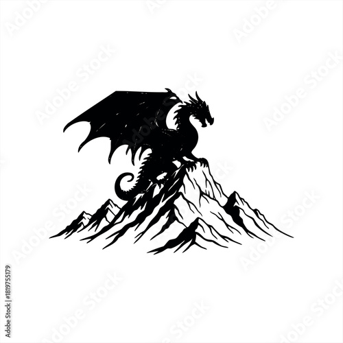 A black silhouette of a dragon with large wings and a long tail is perched majestically on a rugged mountain peak in a powerful fantasy illustration