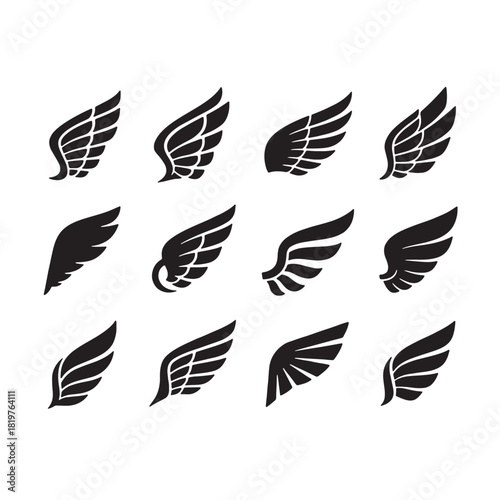 black and white wings vector design 