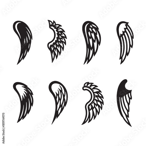 black and white wings vector design 