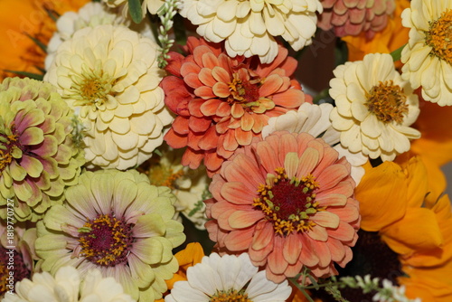 Fotografi zinnia bouquet