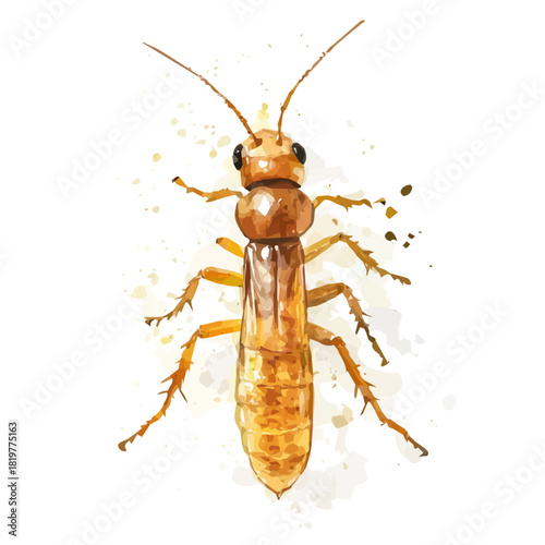 Simple Hand-painted watercolor style, vectorized, painting style, vector set available in EPS,
Watercolor_style_painting_of_a_termite_on_a_white_