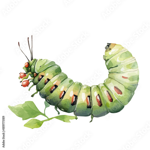 Watercolor_style_painting_of_a_tomato_hornworm_Hand-painted style, vectorized, vector set available in EPS