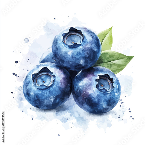 painting_of_fresh_blueberries_with_leaves_on_a_white_Hand-painted watercolor style, vector set available in EPS, vectorized, vegetables set