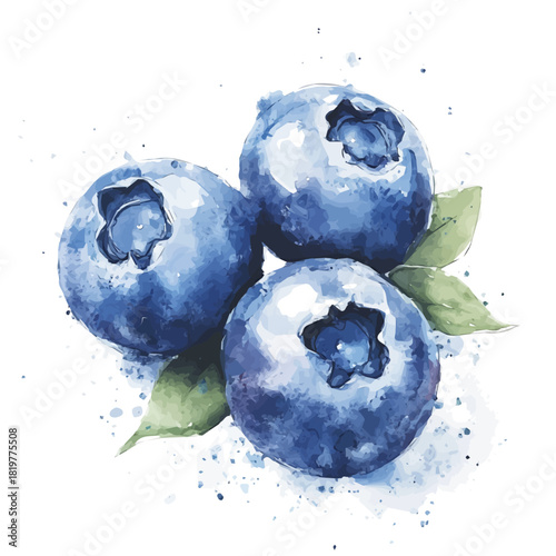 A painting_of_fresh_blueberry_on_a_white_Hand-painted watercolor style, vector set available in EPS, vectorized, vegetables set