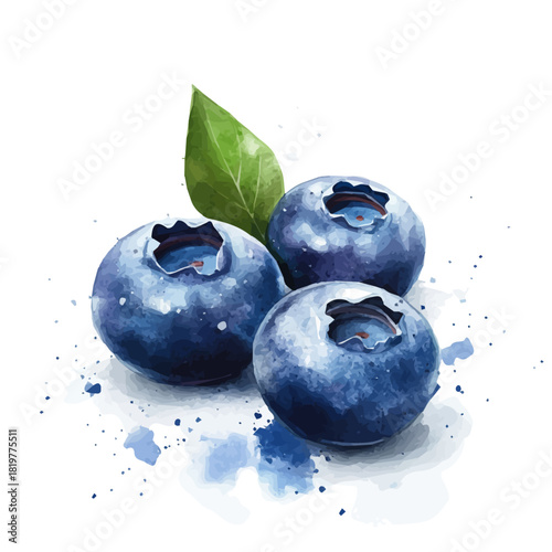 Cute painting_of_fresh_blueberry_on_a_white_Hand-painted watercolor style, vector set available in EPS, vectorized, vegetables set
