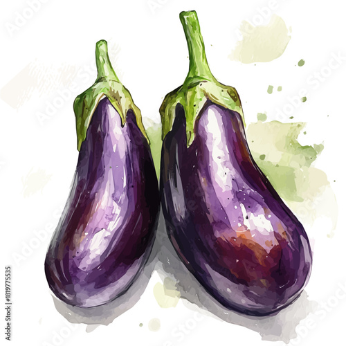 Simple set
painting_of_fresh_eggplants_on_a_white_Hand-painted watercolor style, vector set available in EPS, vectorized, vegetables set