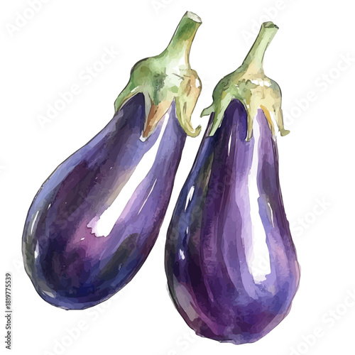 painting_of_fresh_eggplant_on_a_white_Hand-painted watercolor style, vector set available in EPS, vectorized, vegetables set