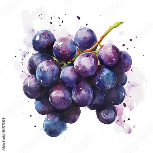 painting_of_purple_grapes_on_a_white_Hand-painted watercolor style, vector set available in EPS, vectorized, vegetables set